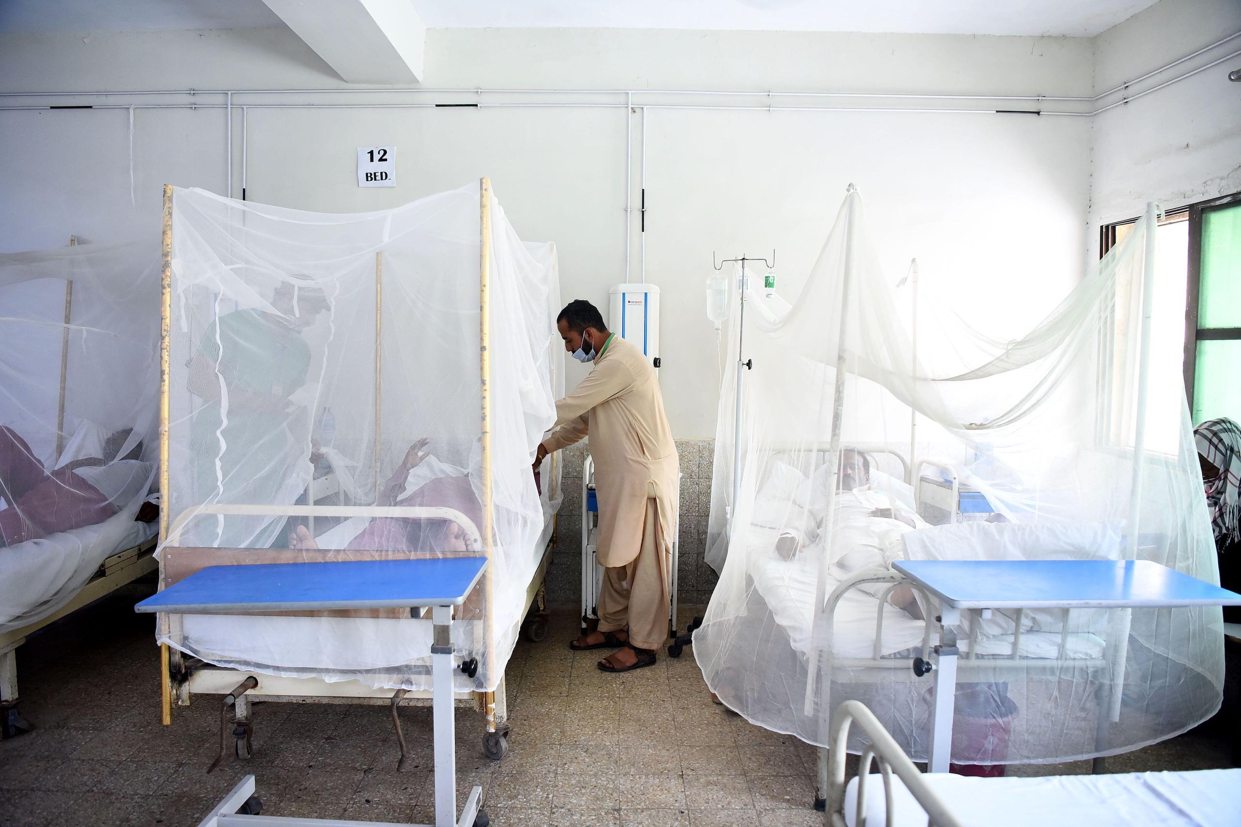 Dengue Virus: Many cases Reported Across Pakistan Including Punjab