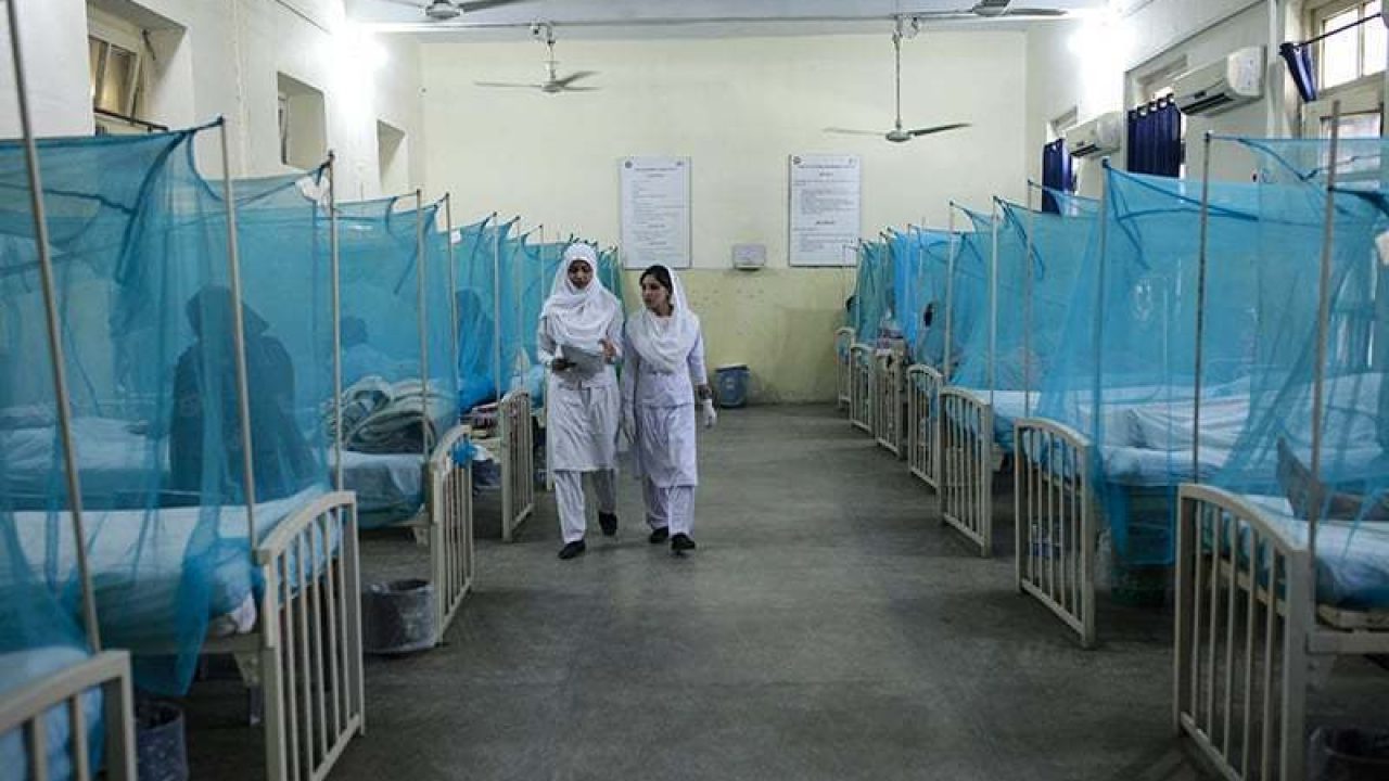 Karachi its Under Dengue Virus Grip; 355 Cases Reported