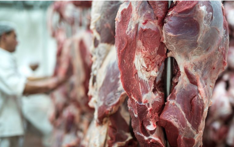 Punjab Food Authority seized 3-year-old meat from hotel in Lahore.