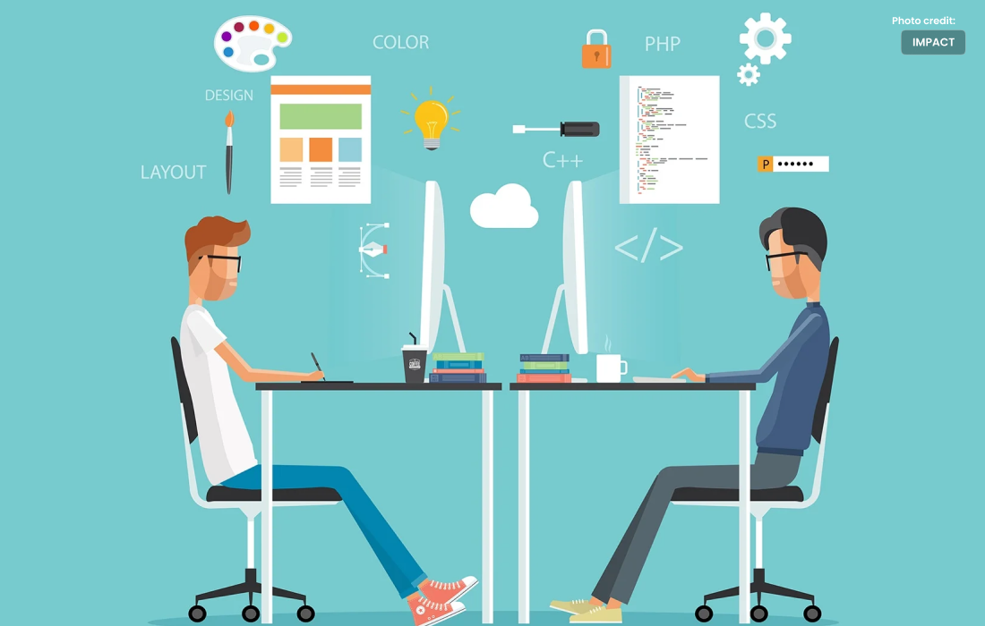 Differences in Web Developers and Web Designers