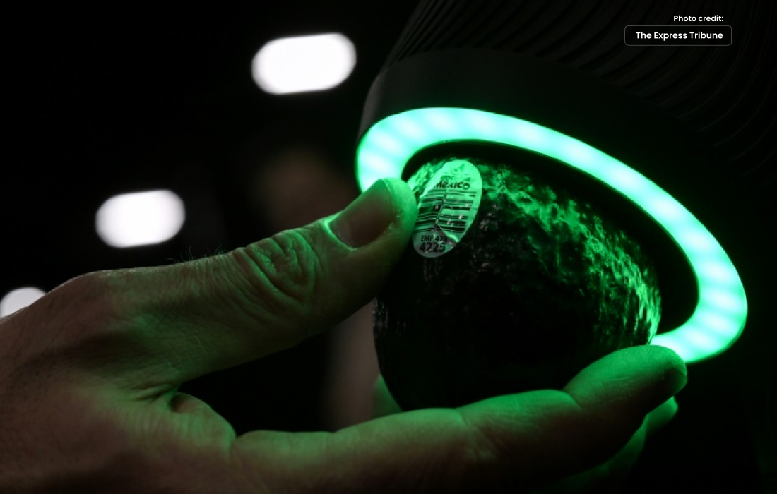 Avocados & Brain Scanners: Highlights from CES 2023