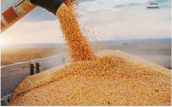 Poland and Ukraine Hold Talks to end Deadlock On Grain Embargo