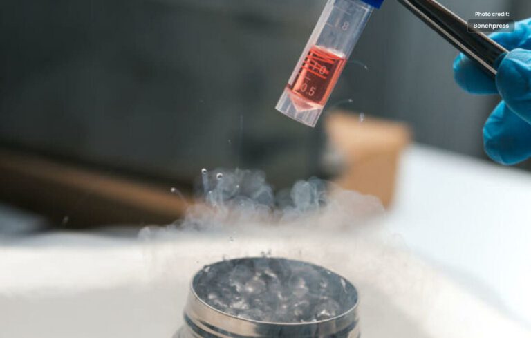 Stem Cell Donation: The Gift of Life and Hope