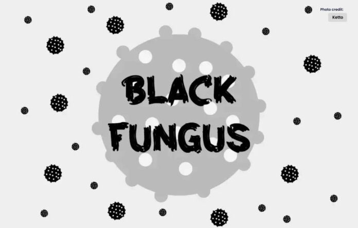 What is the Causes and Symptoms of Black Fungus?