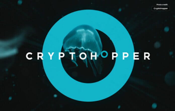 How to Make Use of Cryptohopper?