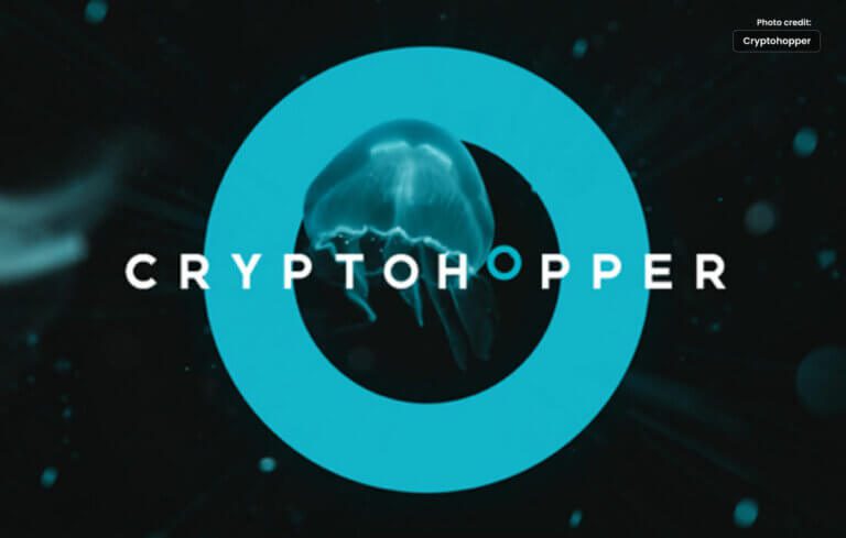 How to Make Use of Cryptohopper?