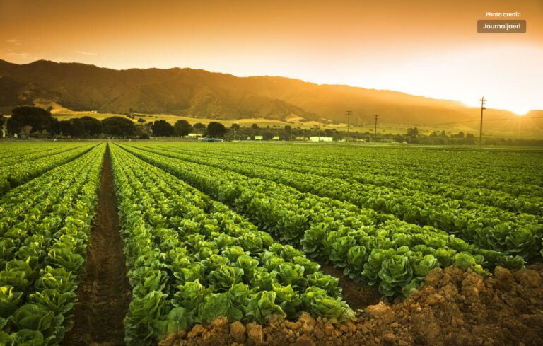 Exploring the Boundless Potential of BSc Agriculture