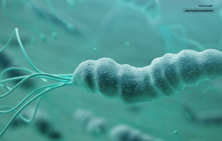 H. pylori Infection and Effective Treatment Options