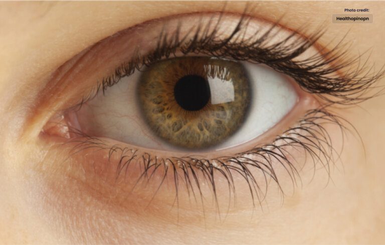 The Gift of Sight: The Importance of Eye Donation