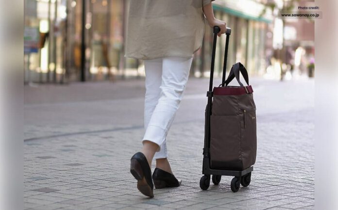 A Woman Forgets Rs. 4M Luggage at Karachi Airport, what Next_