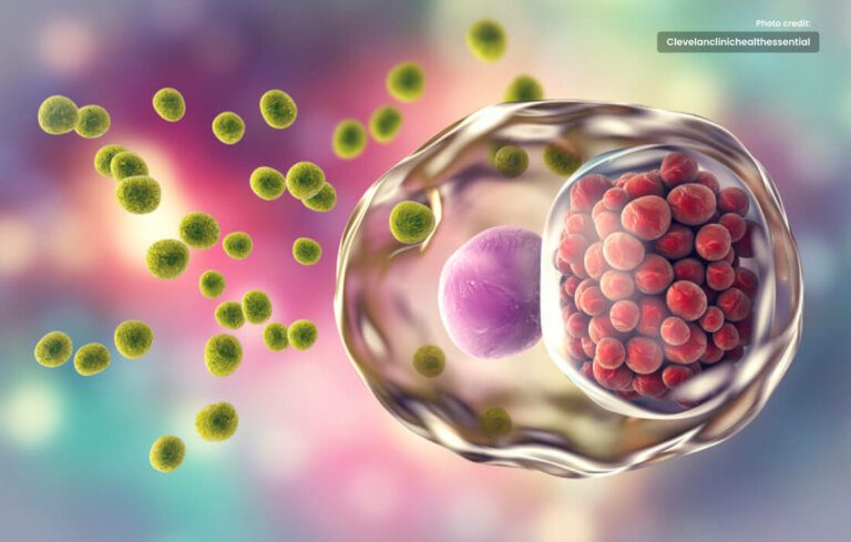 Chlamydia Treatment: Facts, Options, and Steps to Recovery