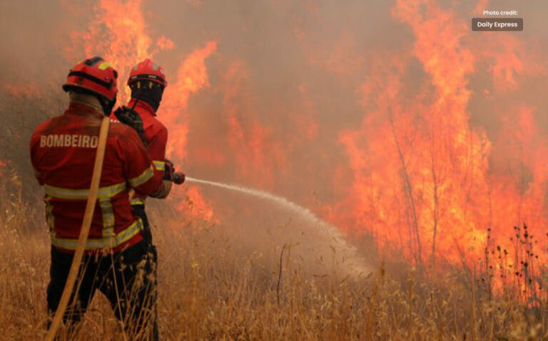 Portugal Fights Wildfire During Third Heatwave of the Year