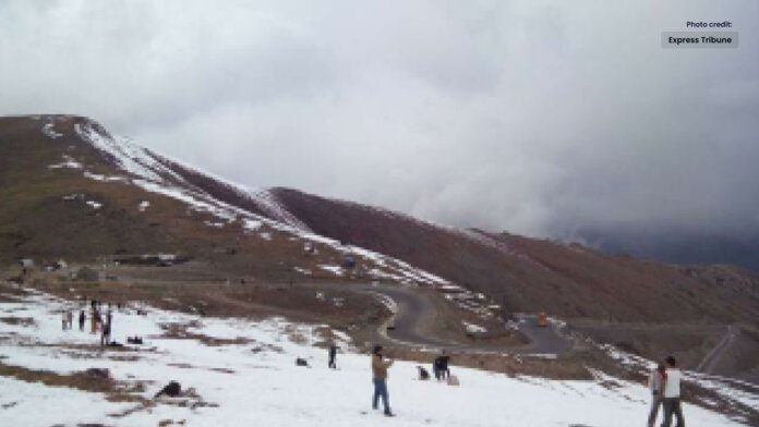 Tourist Dies at Babusar Top while Resisting Robbery