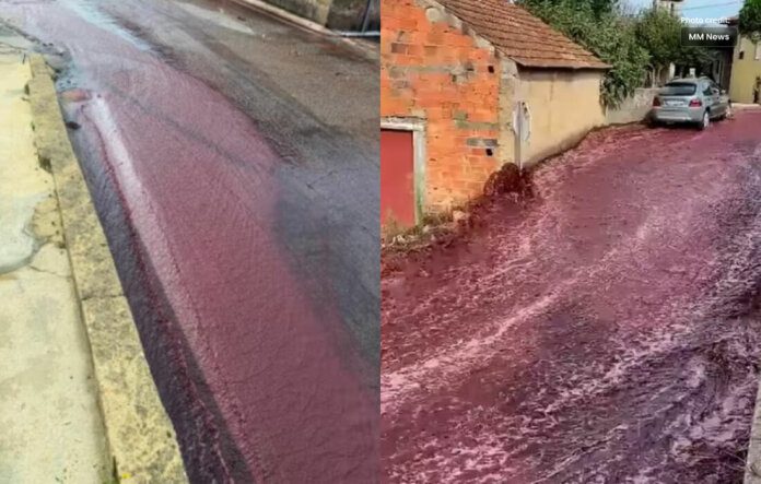 Portuguese Town was Flooded by River of Red Wine