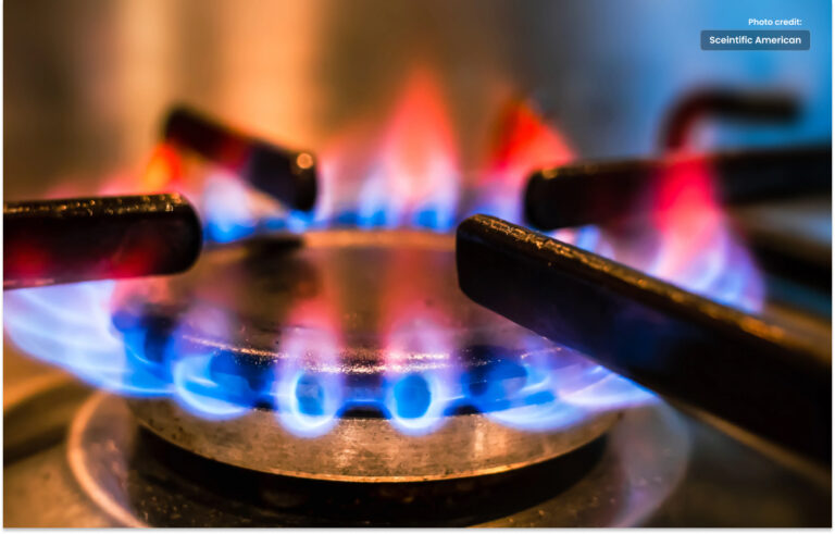 Decision not to load-shedding gas for consumers in winter