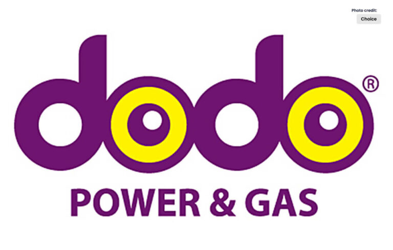 Dodo Electricity Illuminating the Future