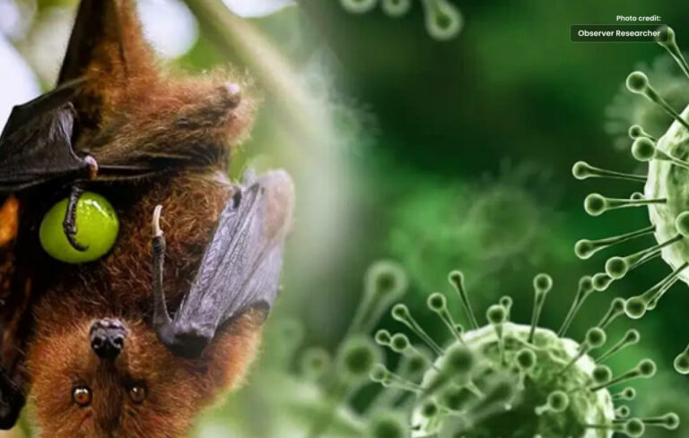 Sindh Health Dept Issues High Alert for Nipah Virus