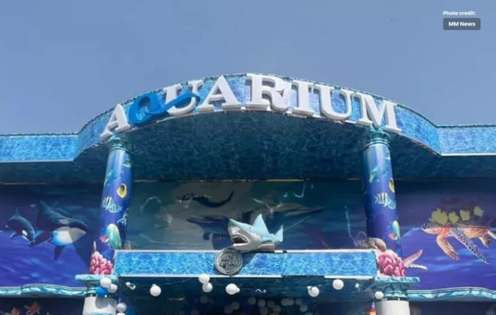Karachi Zoo International-Style Fish Aquarium with Rare Species