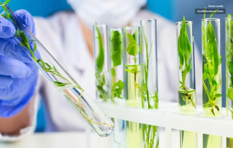 A Global Perspective on new changes in Biotechnology