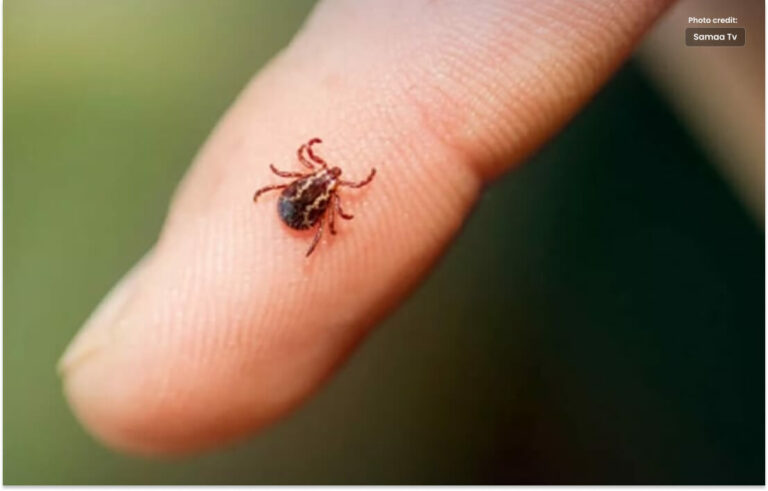 Rapidly increasing cases of Congo virus in Balochistan