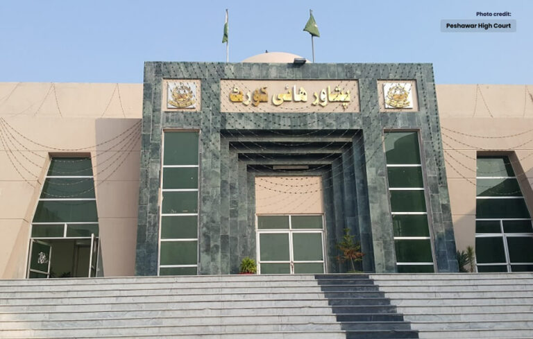 Petition Against Delay in General Election, PHC Seeks Reply from ECP