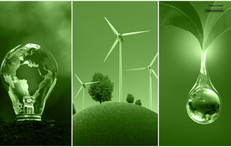Examining the World of Renewable Energy to Power the Future