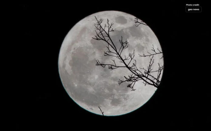 This Year's 'Wolf Moon' is Expected to Rise Tonight
