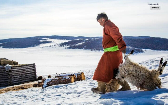 2 Million Animals Died due to Severe Cold Weather in Mongolia