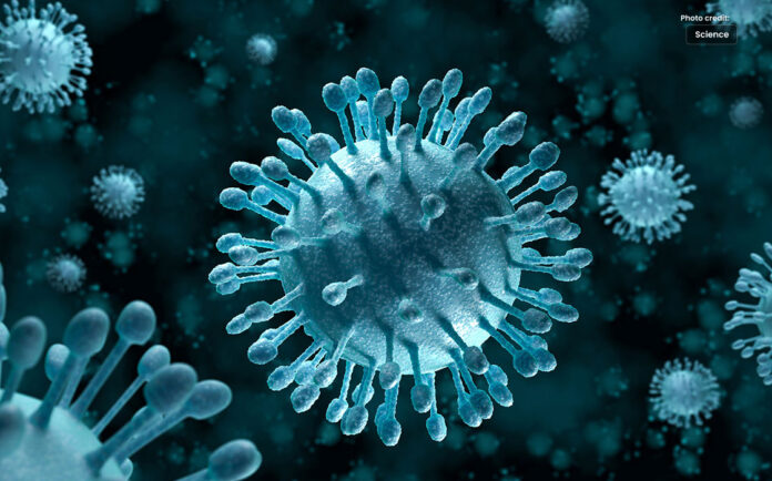 Scientists have Discovered Virus-Like Organisms in Humans