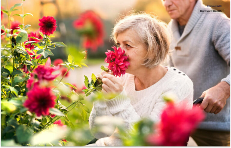 Smelling the fragrance helps to ward off depression