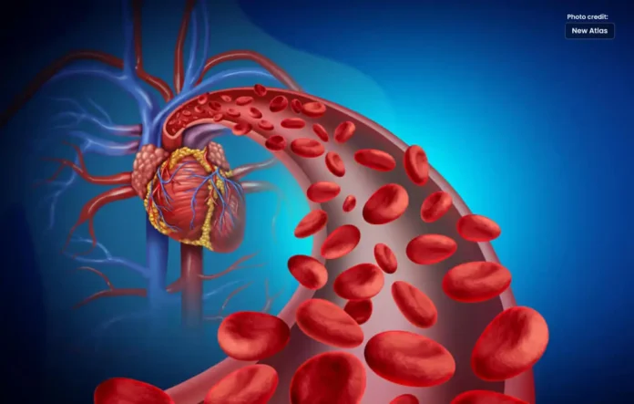 How To Increase Red Blood Cells Quickly
