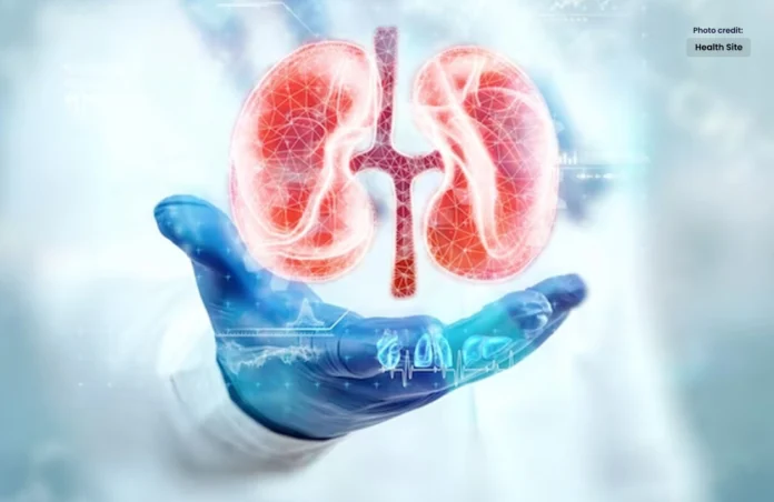 How to Properly Prevent Kidney Disease_