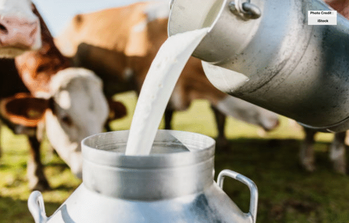Notification of New Milk Price Issued in Karachi
